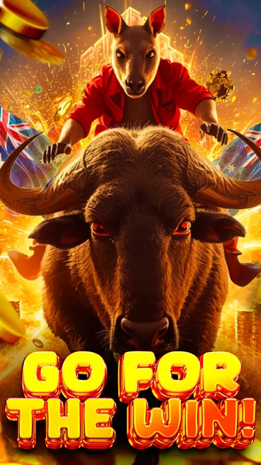 KangaSpin Screenshot